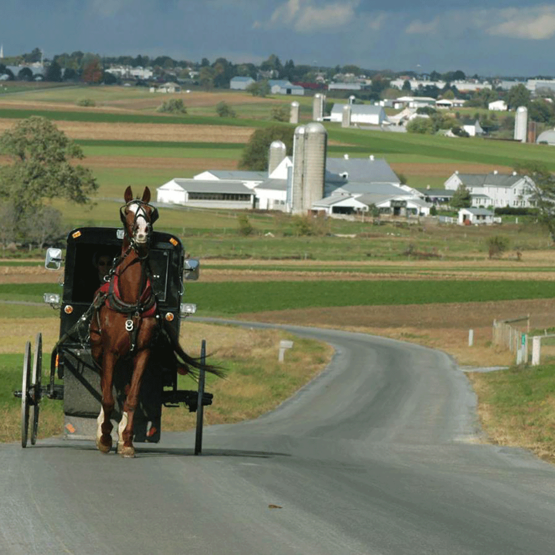 Charette au pays des Amish à Lancaster, Pennsylvanie