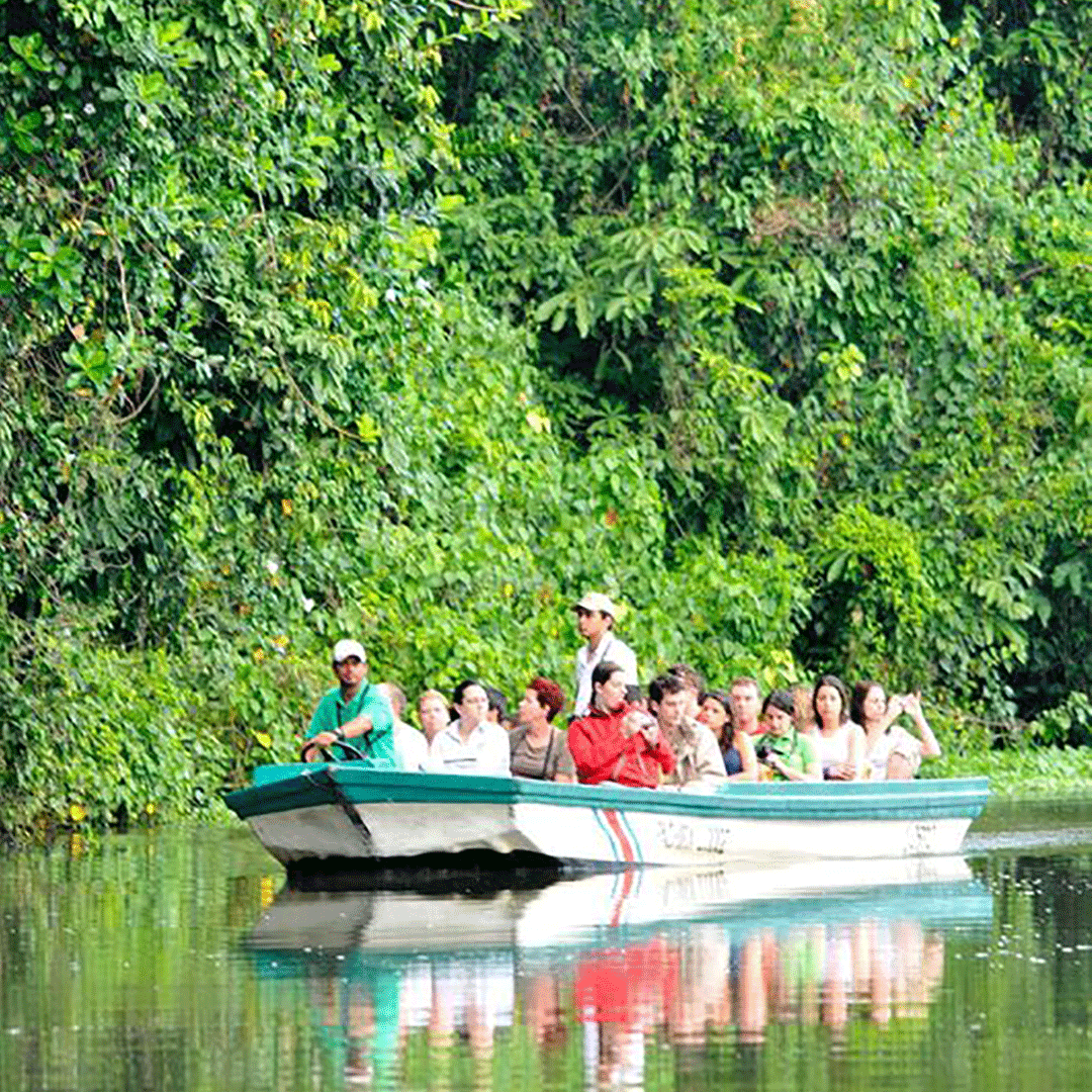 COSTA-RICA: Tour de bateau dans la jungle