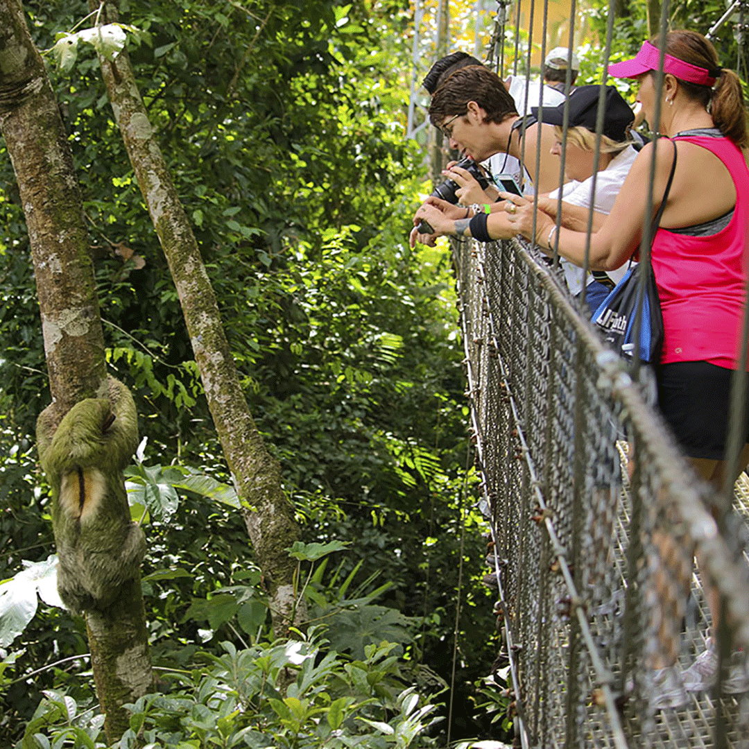 Pont suspendu de La Fortuna au Costa Rica - Voyage de groupe francophone avec voyage Rockland