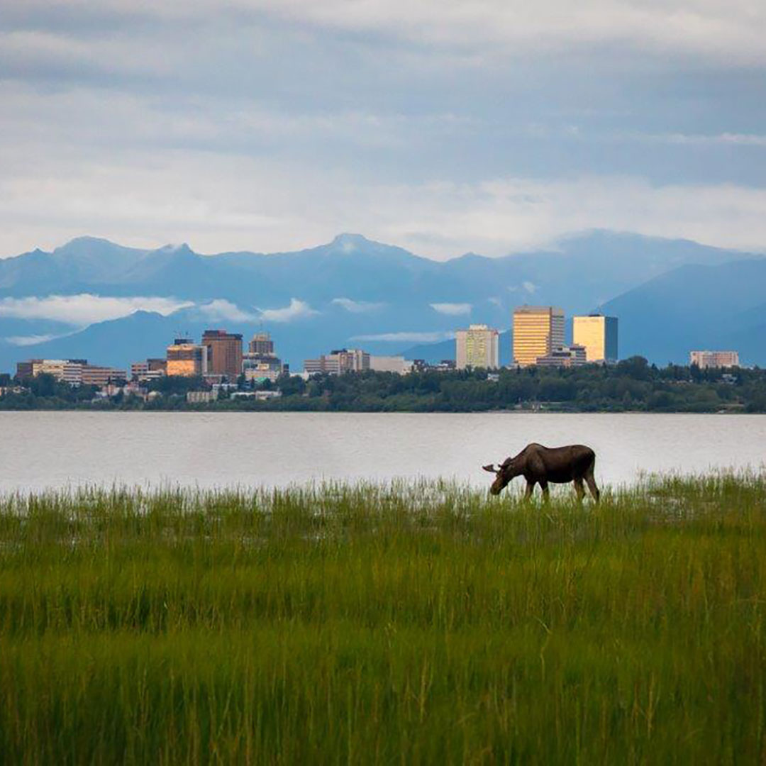 YUKON-&-ALASKA---ANCHORAGE,-AK YUKON-&-ALASKA---ANCHORAGE,-AK