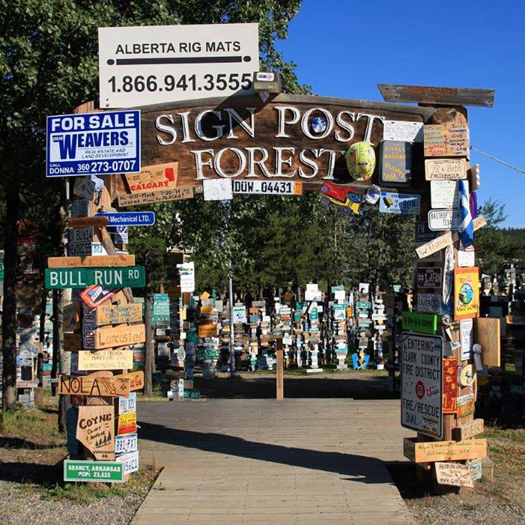 YUKON-&-ALASKA-TOUR---SIGN-POST-FOREST