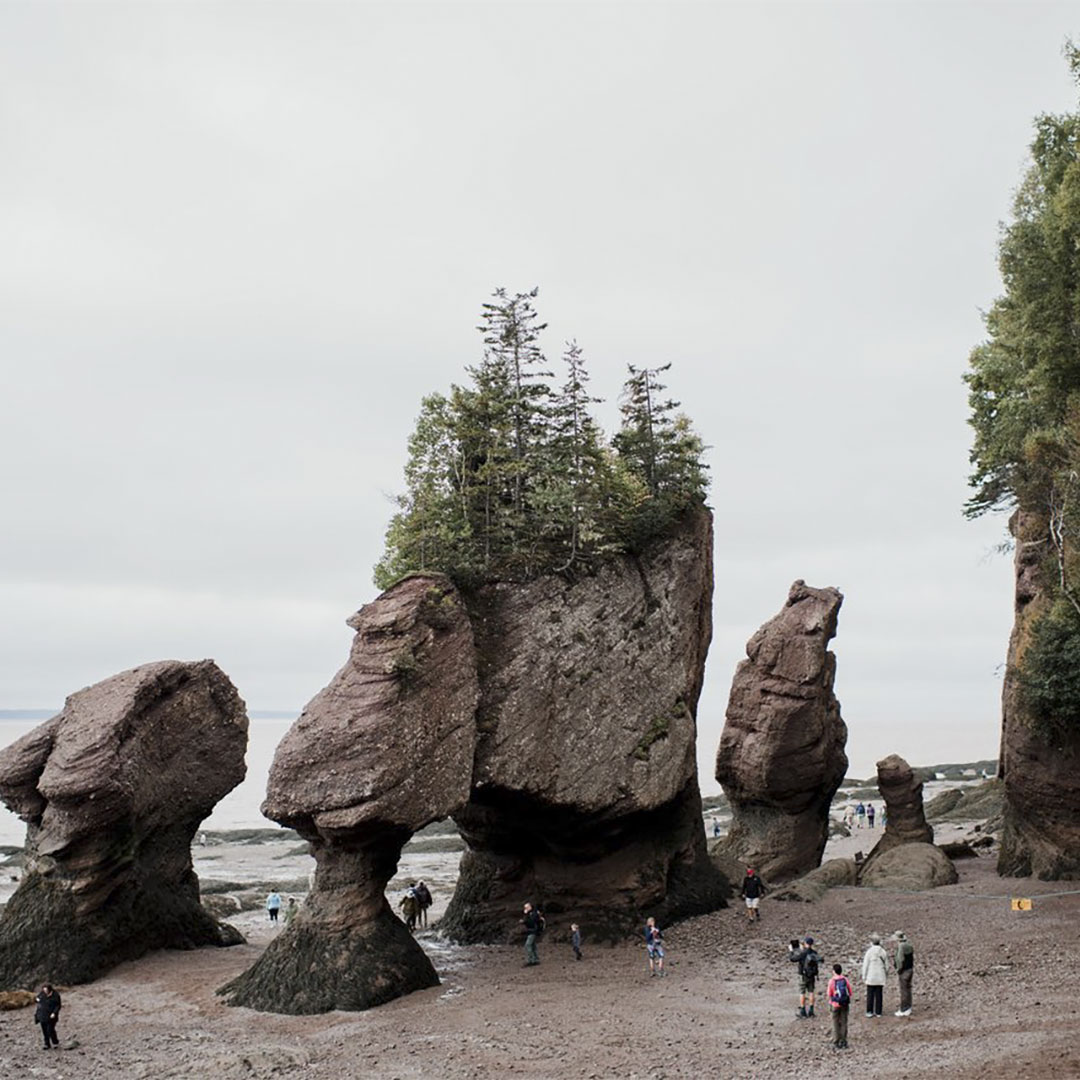 Hopewell Rocks Nouveau-Brunswick Hopewell Rocks Nouveau-Brunswick