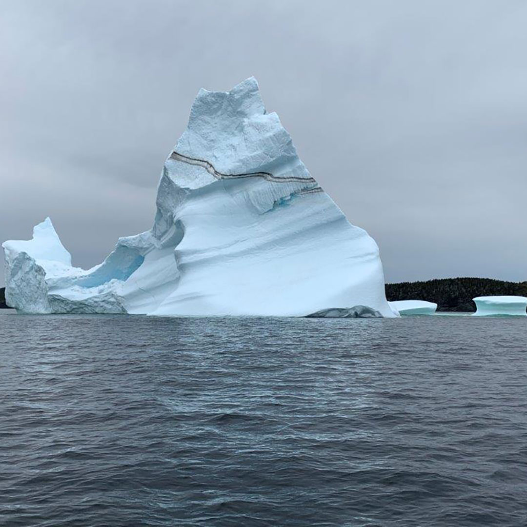 Iceberg