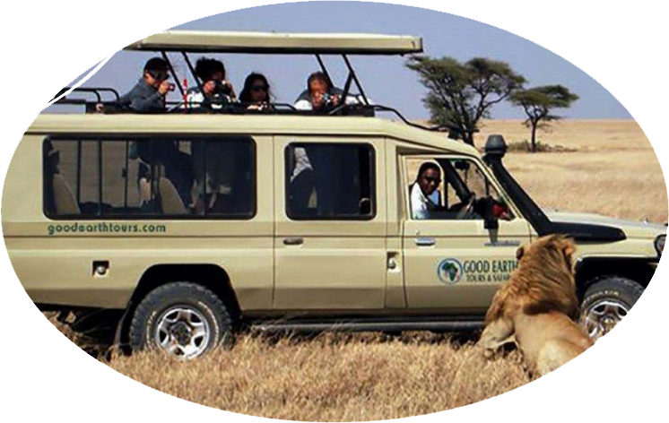2023-1-safari-en-tanzanie-jeep