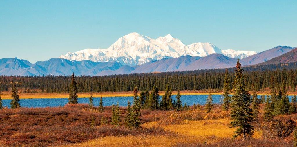 YUKON-&-ALASKA---DENALI-NATIONAL-PARK-I