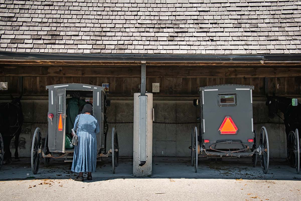 Oktobertfest-ST JACOBS, ON - Mennonite buggy II - Copy