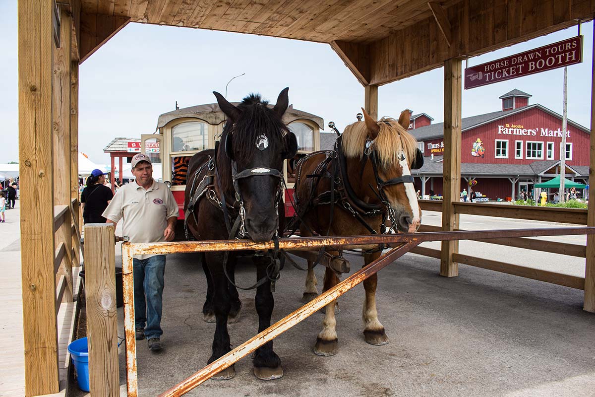 Oktobertfest-ST JACOBS, ON - Wagon ride - Copy
