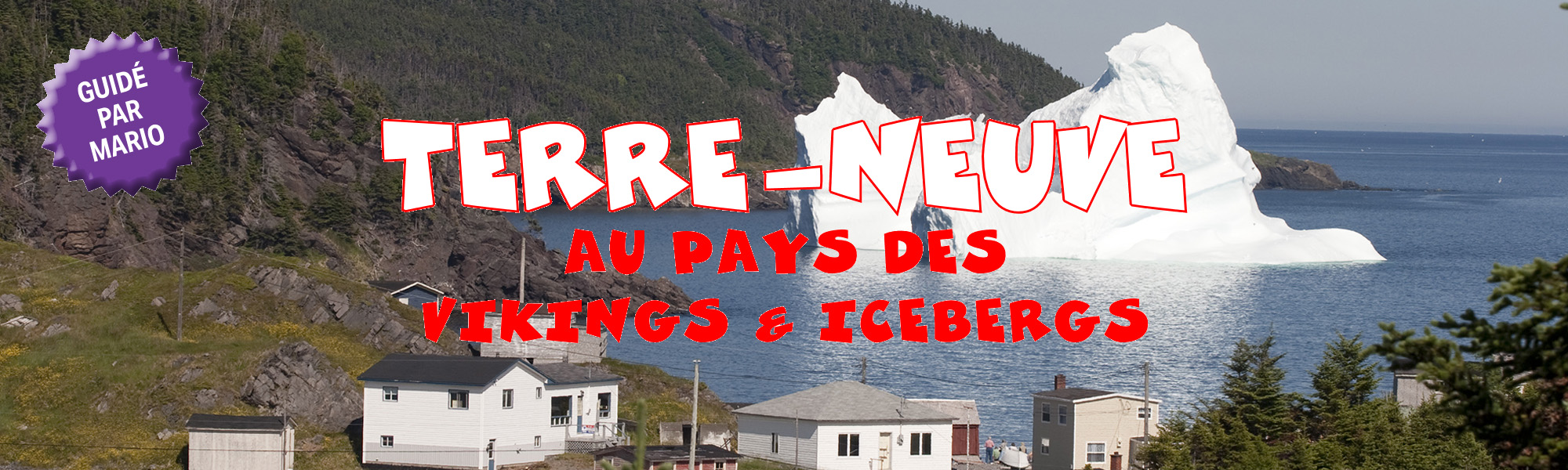 terre-neuve-image-d-entête